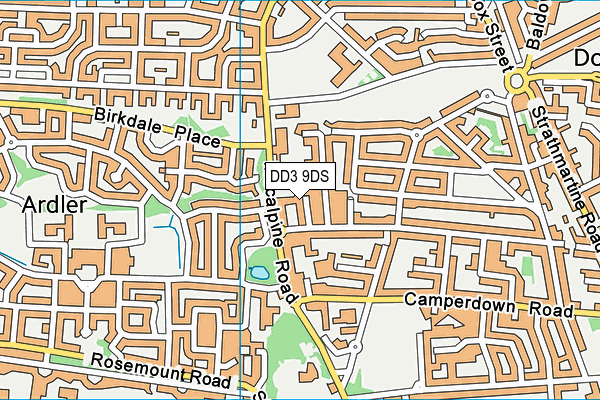 DD3 9DS map - OS VectorMap District (Ordnance Survey)