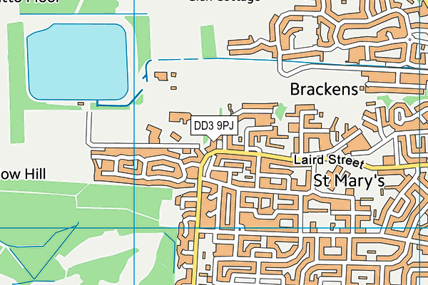 DD3 9PJ map - OS VectorMap District (Ordnance Survey)