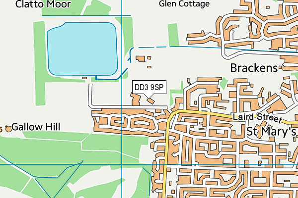 DD3 9SP map - OS VectorMap District (Ordnance Survey)