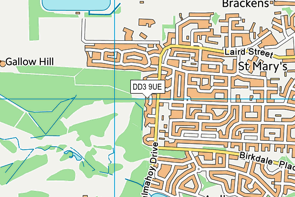 DD3 9UE map - OS VectorMap District (Ordnance Survey)