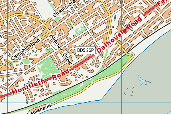 DD5 2SP map - OS VectorMap District (Ordnance Survey)