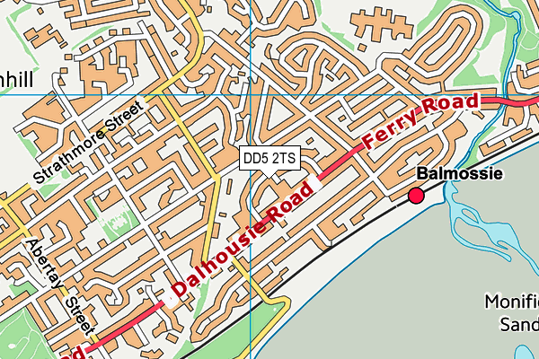 DD5 2TS map - OS VectorMap District (Ordnance Survey)