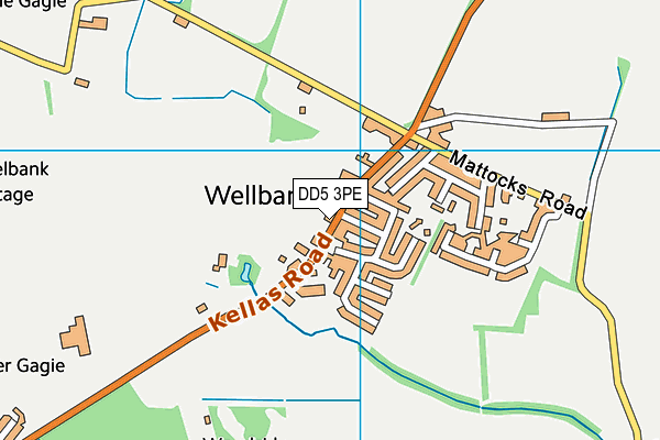 DD5 3PE map - OS VectorMap District (Ordnance Survey)