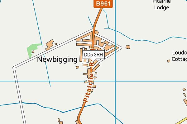 DD5 3RH map - OS VectorMap District (Ordnance Survey)