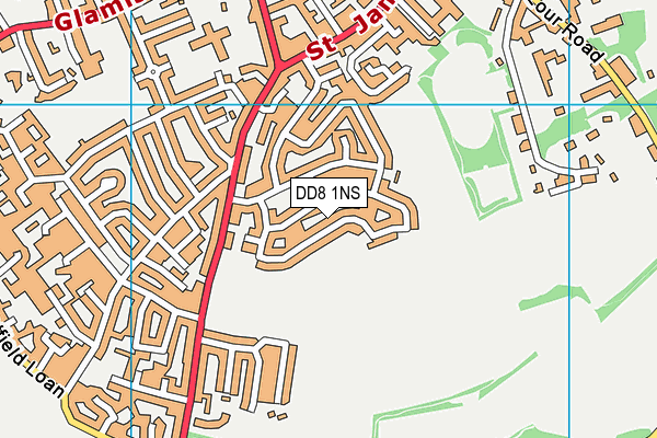 DD8 1NS map - OS VectorMap District (Ordnance Survey)