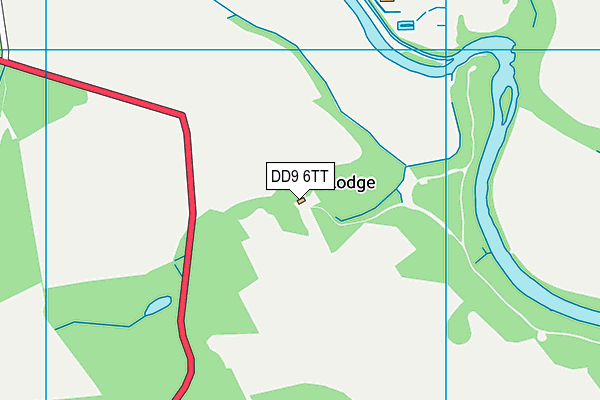 DD9 6TT map - OS VectorMap District (Ordnance Survey)