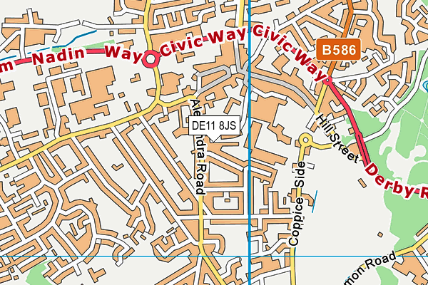 DE11 8JS map - OS VectorMap District (Ordnance Survey)