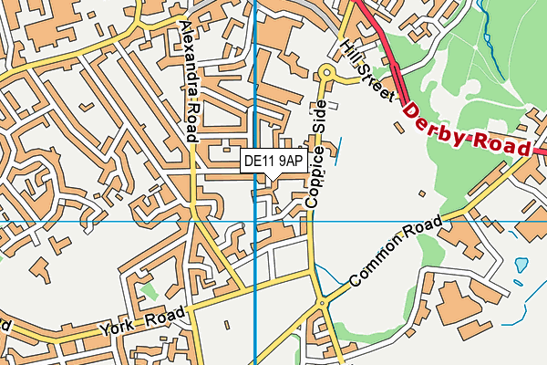 DE11 9AP map - OS VectorMap District (Ordnance Survey)