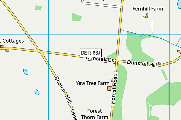 DE13 8BJ map - OS VectorMap District (Ordnance Survey)