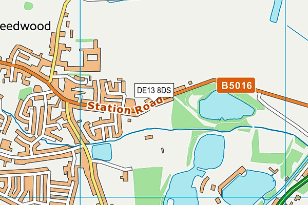 DE13 8DS map - OS VectorMap District (Ordnance Survey)