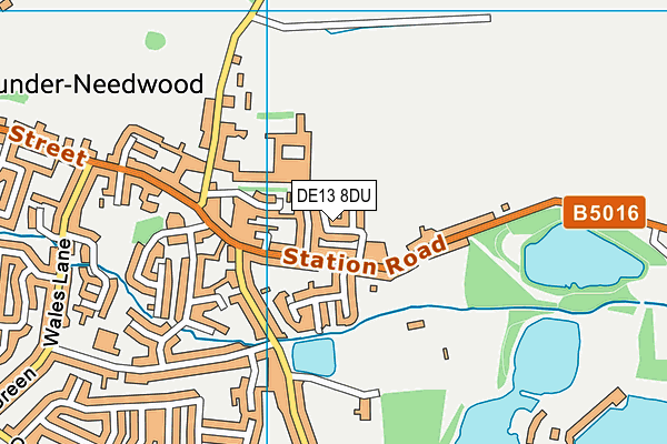 DE13 8DU map - OS VectorMap District (Ordnance Survey)