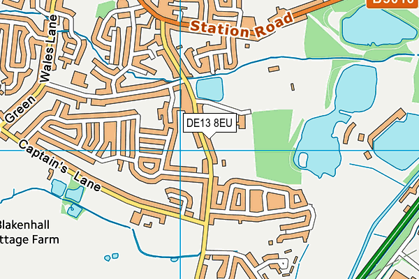 DE13 8EU map - OS VectorMap District (Ordnance Survey)