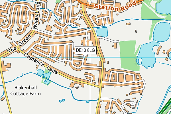 DE13 8LG map - OS VectorMap District (Ordnance Survey)
