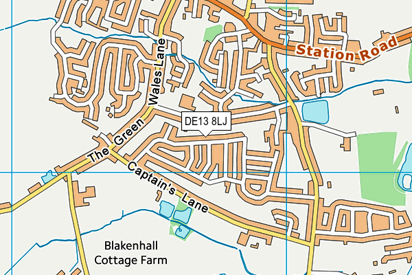 DE13 8LJ map - OS VectorMap District (Ordnance Survey)