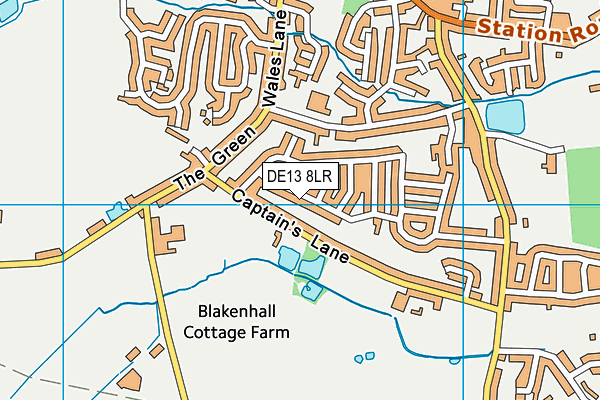 DE13 8LR map - OS VectorMap District (Ordnance Survey)