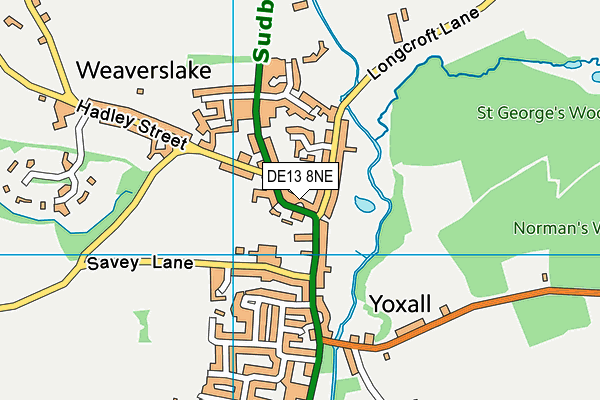 DE13 8NE map - OS VectorMap District (Ordnance Survey)