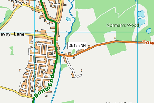 DE13 8NN map - OS VectorMap District (Ordnance Survey)