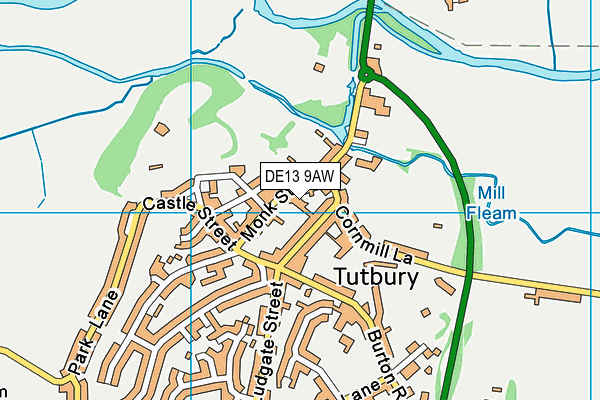 DE13 9AW map - OS VectorMap District (Ordnance Survey)