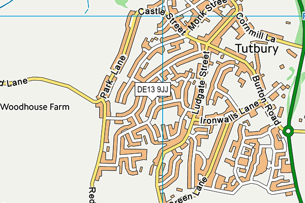 DE13 9JJ map - OS VectorMap District (Ordnance Survey)