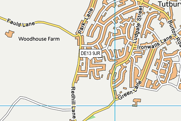 DE13 9JR map - OS VectorMap District (Ordnance Survey)