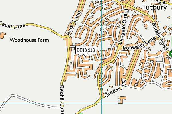 DE13 9JS map - OS VectorMap District (Ordnance Survey)
