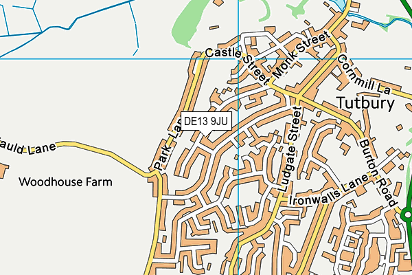 DE13 9JU map - OS VectorMap District (Ordnance Survey)