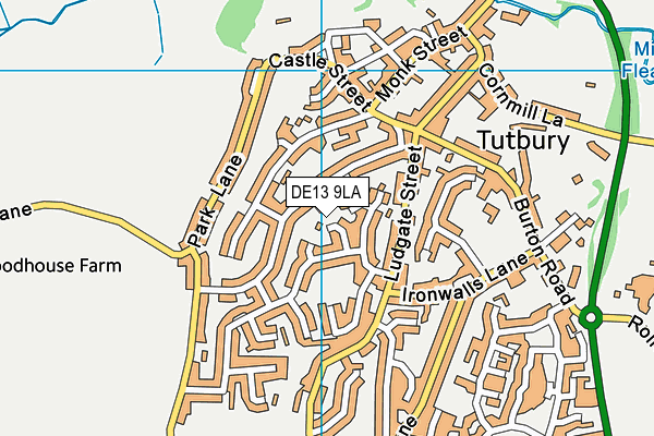 DE13 9LA map - OS VectorMap District (Ordnance Survey)