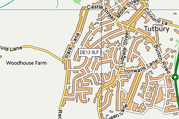 DE13 9LF map - OS VectorMap District (Ordnance Survey)