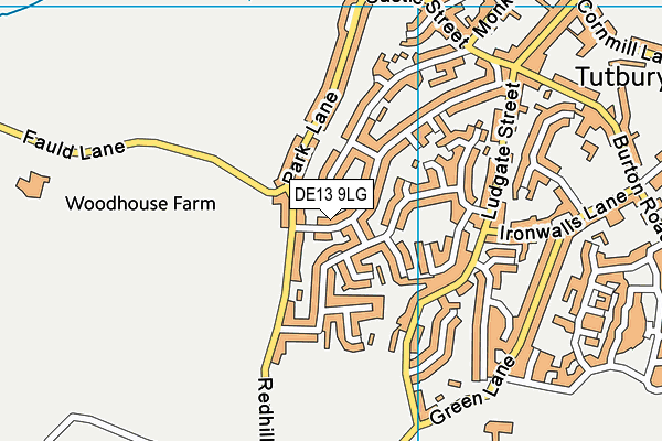 DE13 9LG map - OS VectorMap District (Ordnance Survey)