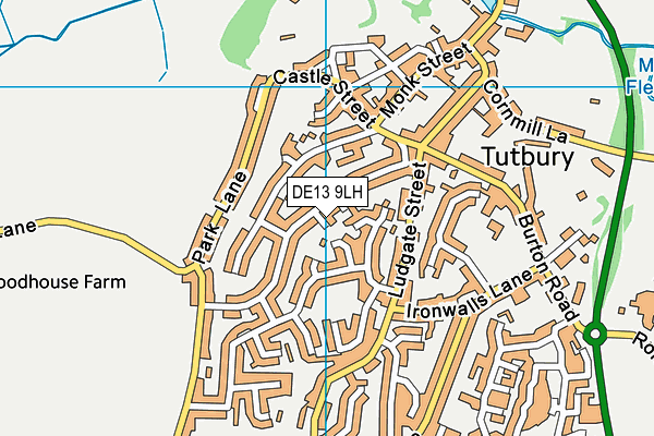 DE13 9LH map - OS VectorMap District (Ordnance Survey)