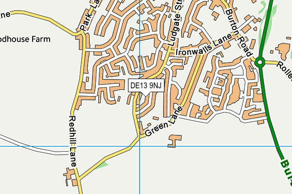 DE13 9NJ map - OS VectorMap District (Ordnance Survey)