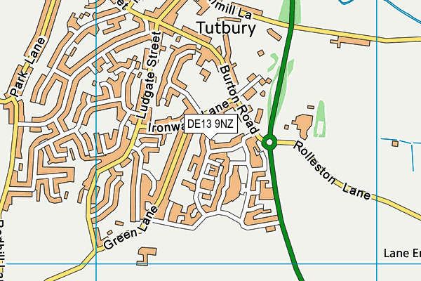 DE13 9NZ map - OS VectorMap District (Ordnance Survey)