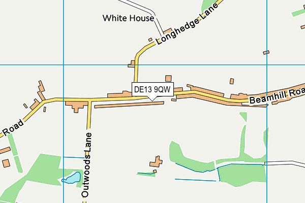 DE13 9QW map - OS VectorMap District (Ordnance Survey)