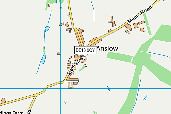 DE13 9QY map - OS VectorMap District (Ordnance Survey)