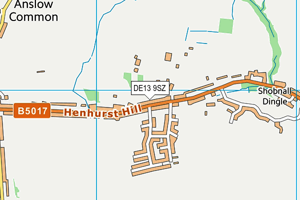 DE13 9SZ map - OS VectorMap District (Ordnance Survey)