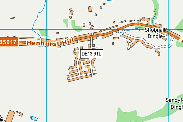 DE13 9TL map - OS VectorMap District (Ordnance Survey)