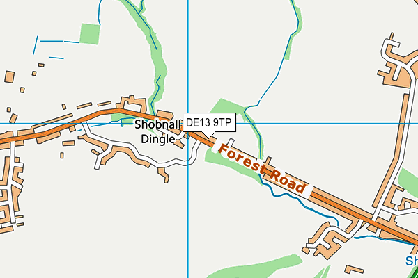 DE13 9TP map - OS VectorMap District (Ordnance Survey)