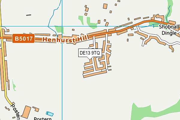 Henhurst Ridge Primary Academy map (DE13 9TQ) - OS VectorMap District (Ordnance Survey)