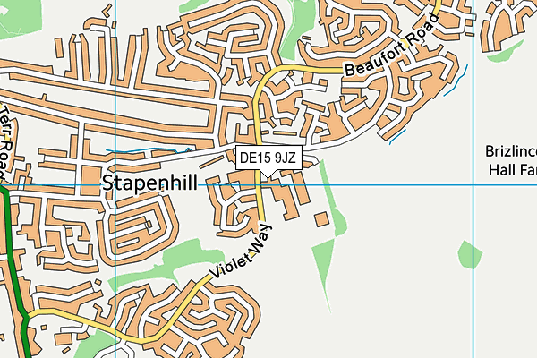 DE15 9JZ map - OS VectorMap District (Ordnance Survey)