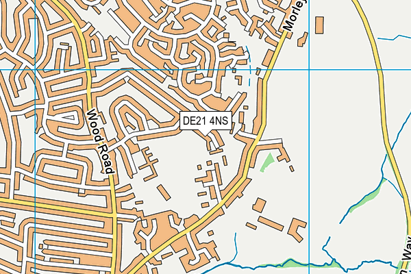 DE21 4NS map - OS VectorMap District (Ordnance Survey)