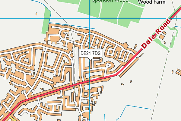 DE21 7DS map - OS VectorMap District (Ordnance Survey)