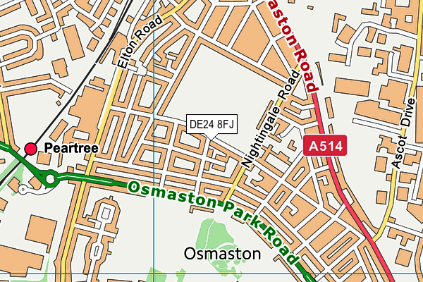DE24 8FJ map - OS VectorMap District (Ordnance Survey)