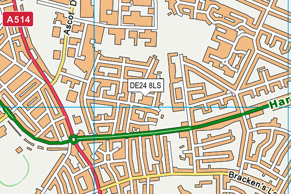 DE24 8LS map - OS VectorMap District (Ordnance Survey)