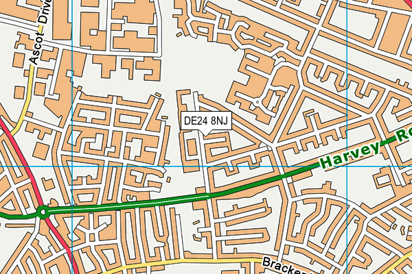 DE24 8NJ map - OS VectorMap District (Ordnance Survey)