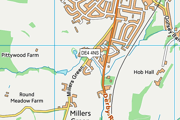 DE4 4NS map - OS VectorMap District (Ordnance Survey)