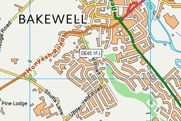 DE45 1FJ map - OS VectorMap District (Ordnance Survey)