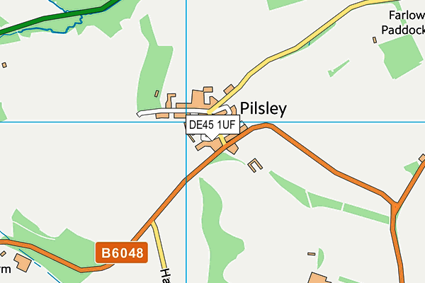 Pilsley CofE Primary School map (DE45 1UF) - OS VectorMap District (Ordnance Survey)