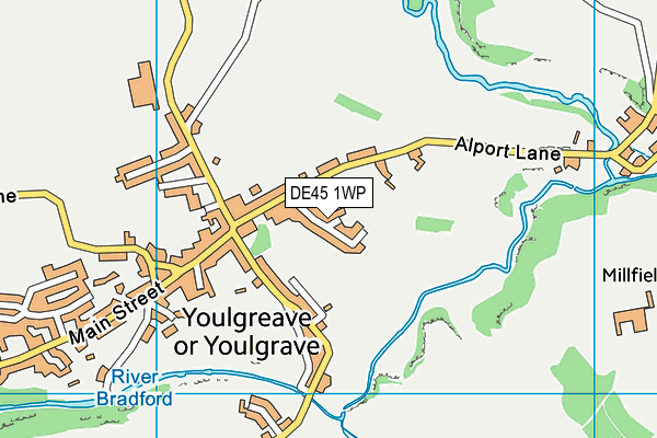 DE45 1WP map - OS VectorMap District (Ordnance Survey)