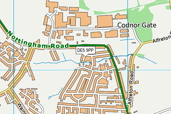 DE5 9PP map - OS VectorMap District (Ordnance Survey)