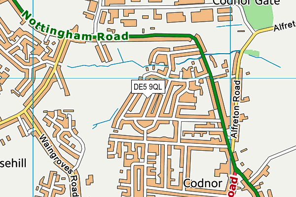 DE5 9QL map - OS VectorMap District (Ordnance Survey)